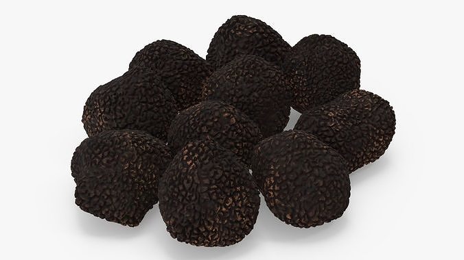 Black Truffle 3D model