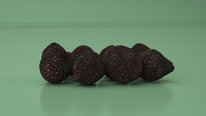 Black Truffle 3D model 4