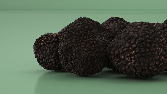 Black Truffle 3D model 6