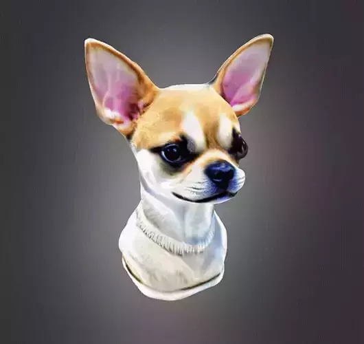 Chihuahua