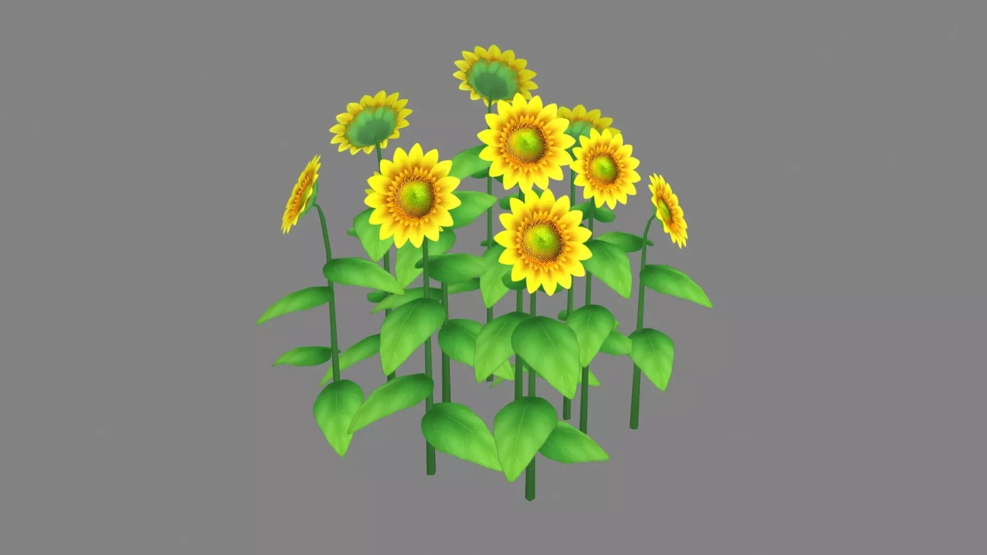 Cartoon Sunflower plants Low-poly 3D model