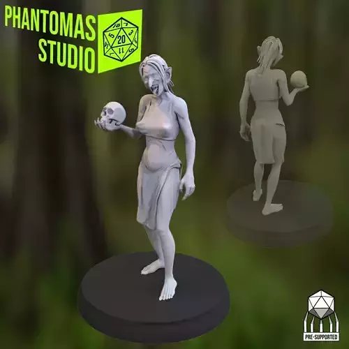 Swamp Witch 3D print model