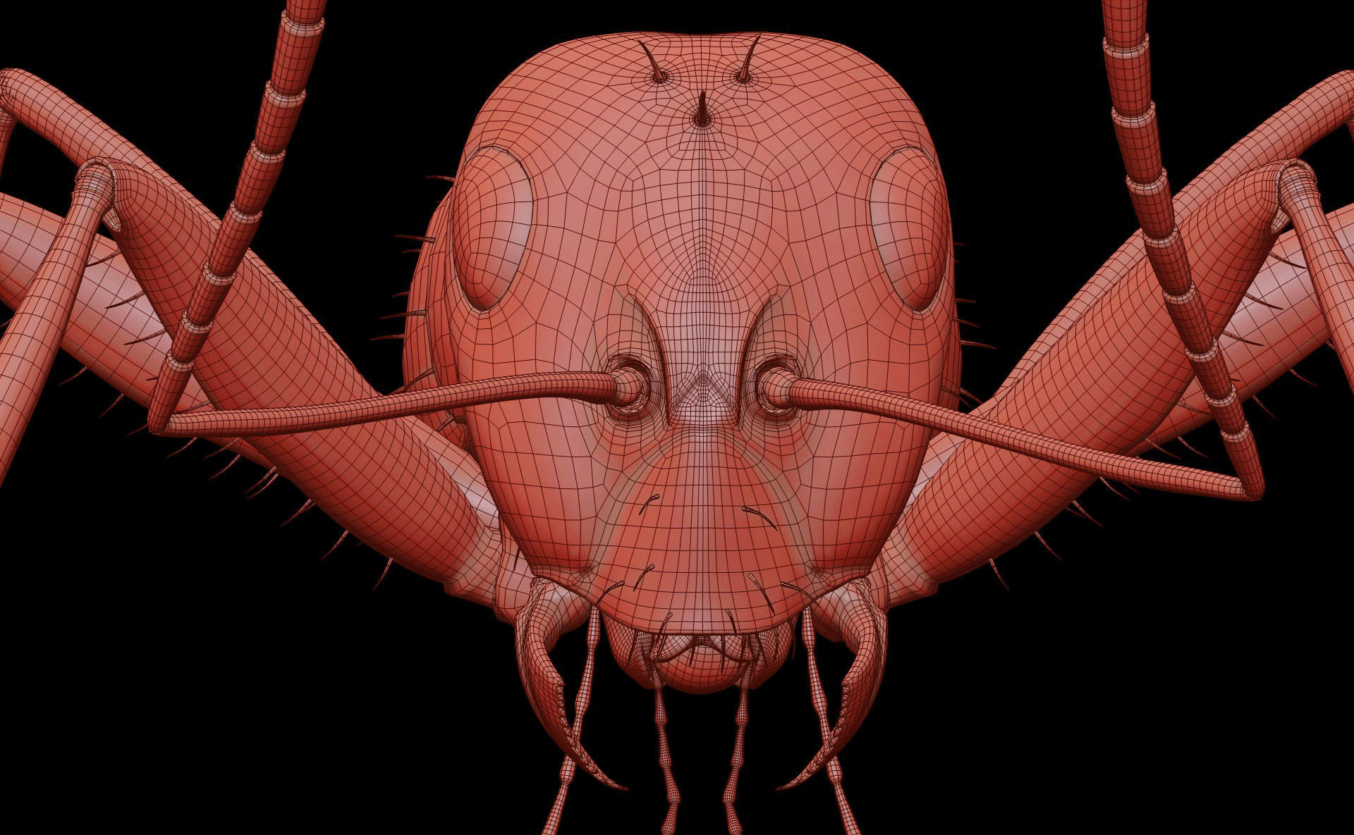 Worker Ant 3D model_26