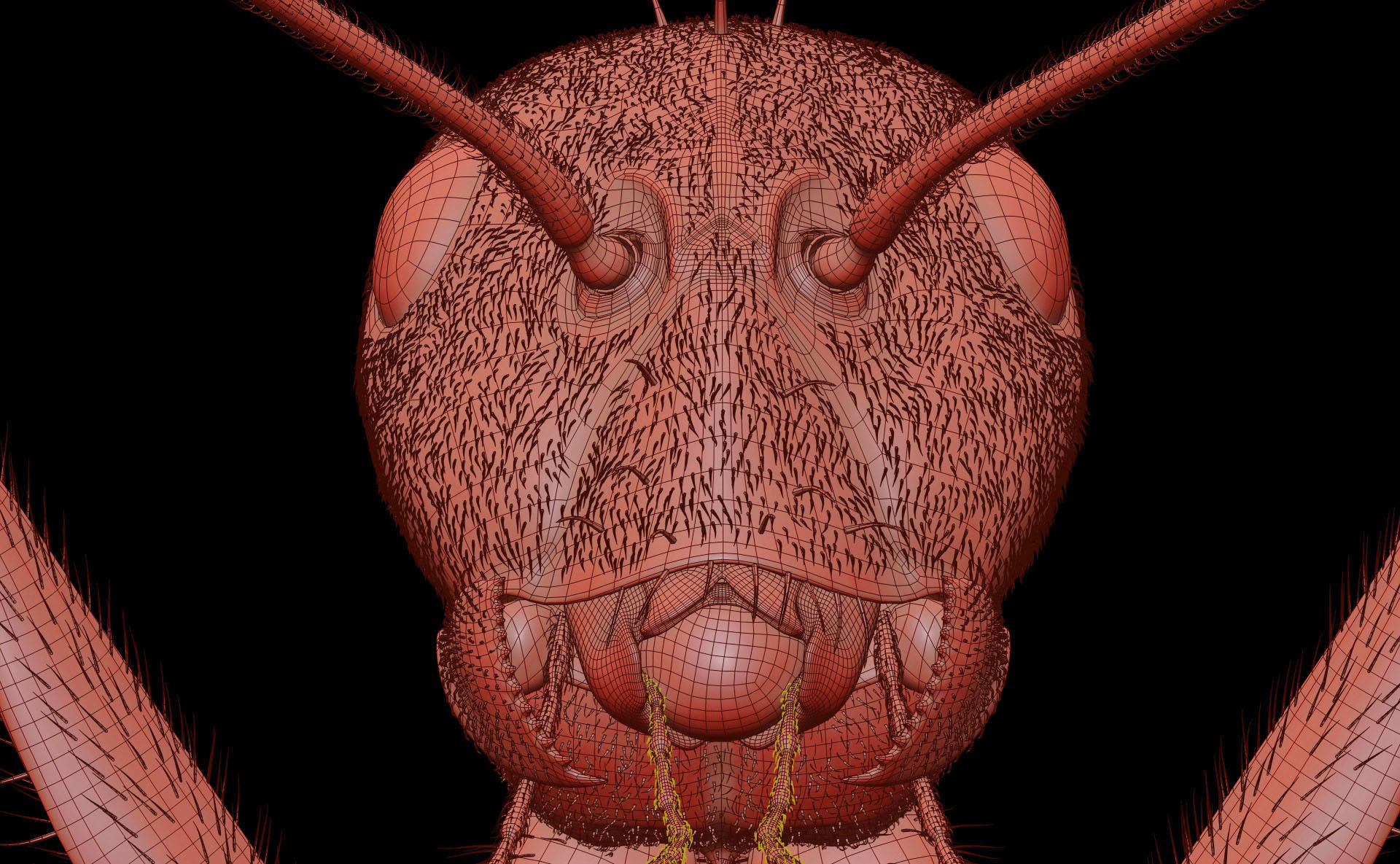 Worker Ant 3D model_21