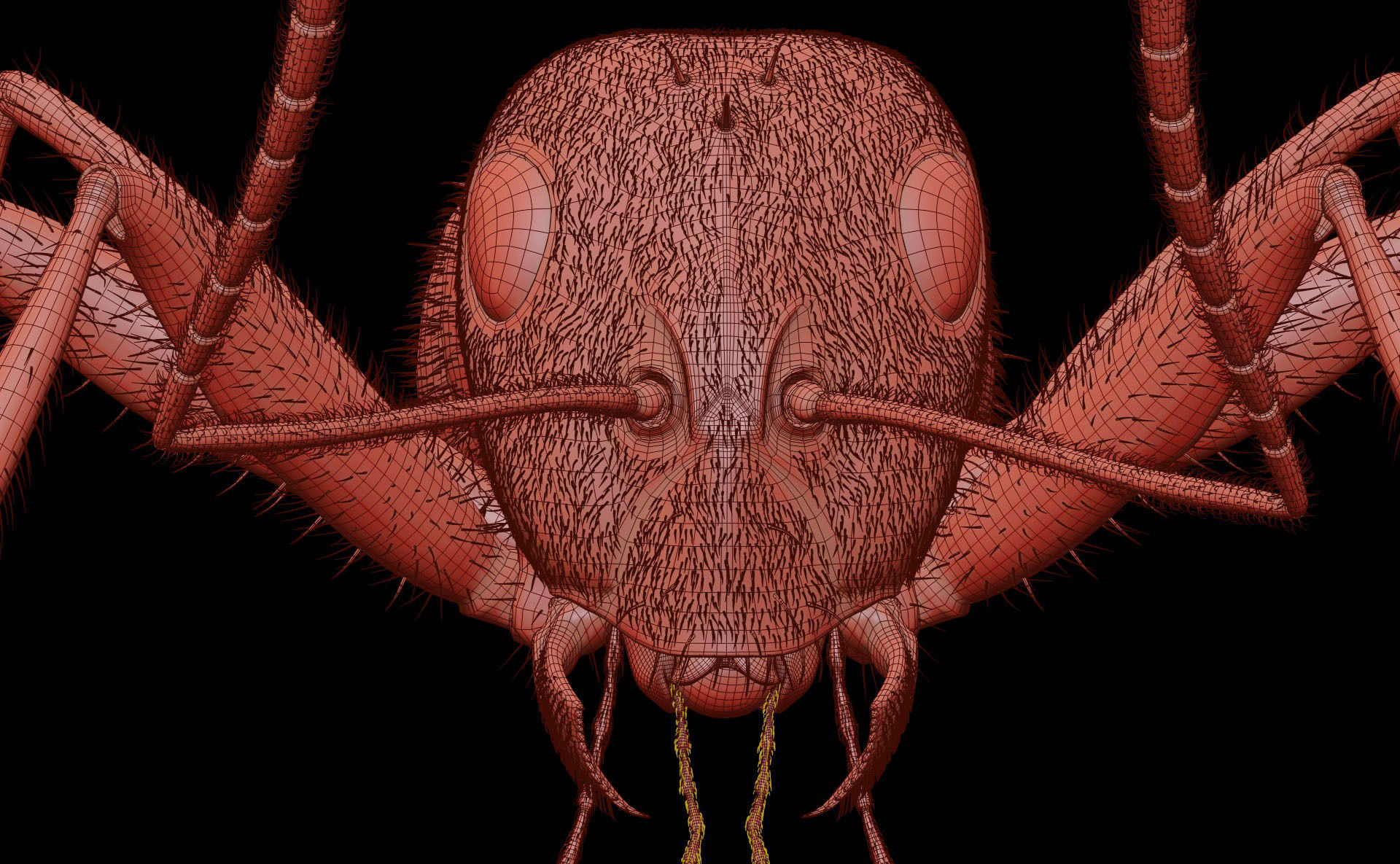 Worker Ant 3D model_18