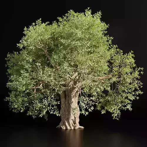 Mysterious tree vol 251-Blender