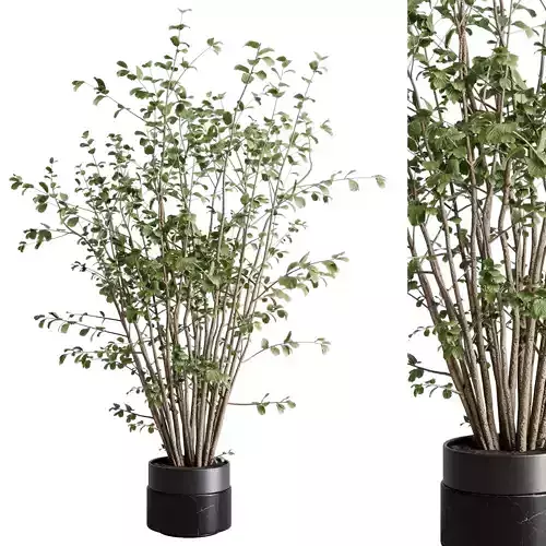 Indoor plant 478 marble dirt vase plant tree pot