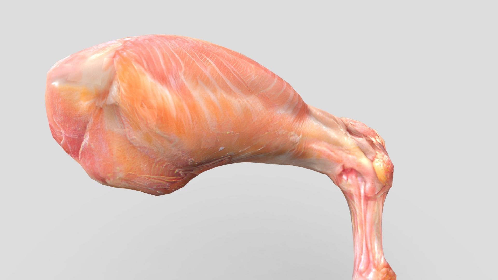 Raw Chicken Leg Low-poly 3D model_9