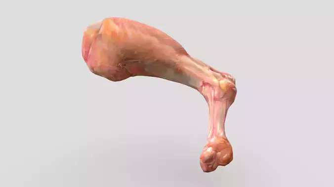 Raw Chicken Leg Low-poly 3D model