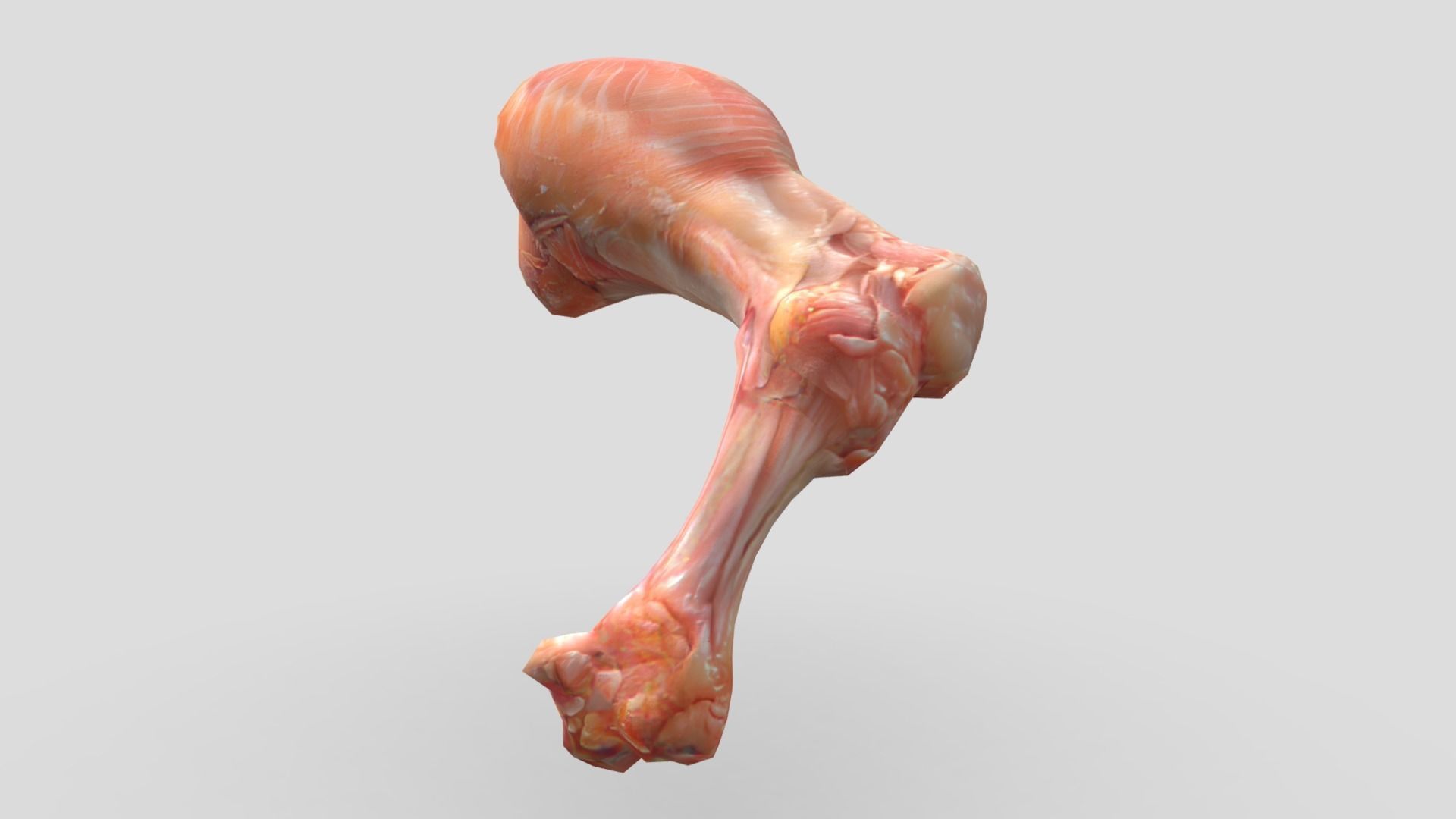 Raw Chicken Leg Low-poly 3D model_5