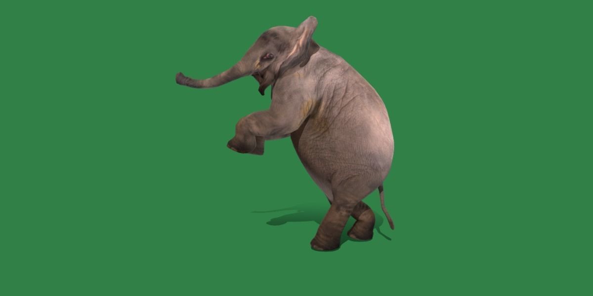 Baby Elephant Calf Low-poly 3D model_30