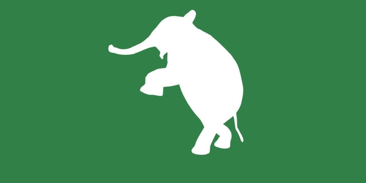 Baby Elephant Calf Low-poly 3D model_34