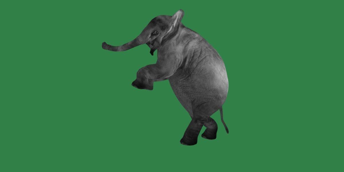 Baby Elephant Calf Low-poly 3D model_17