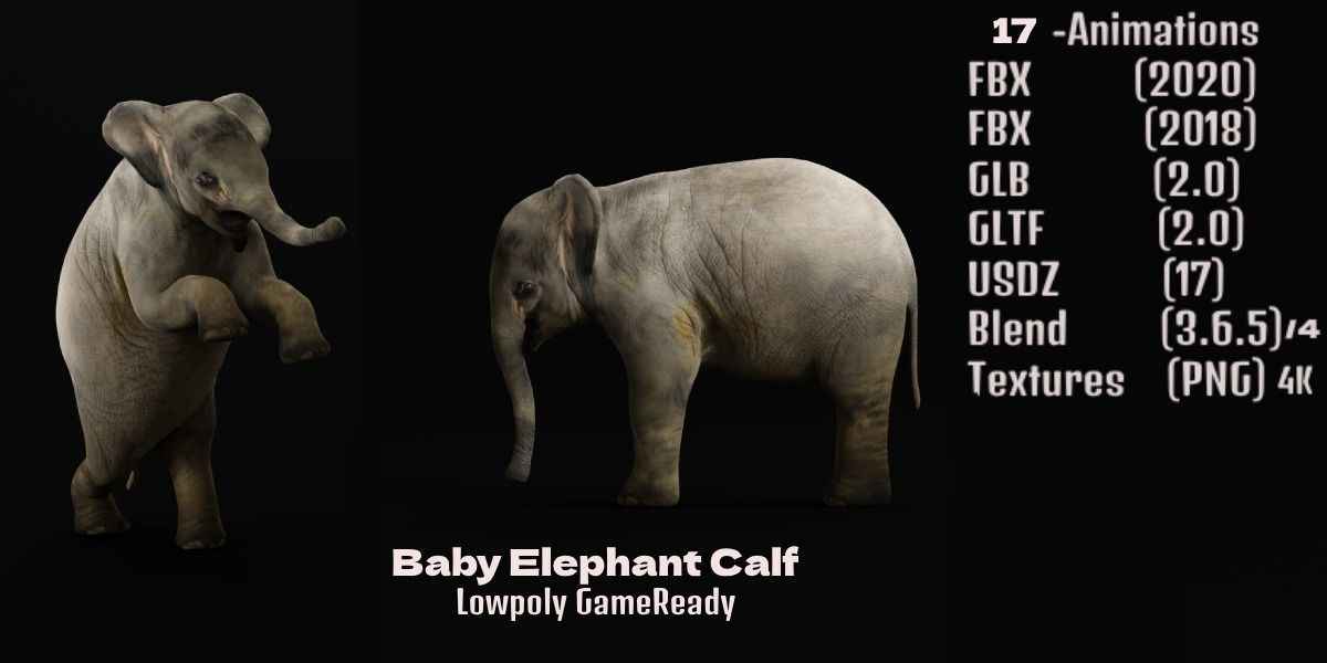 Baby Elephant Calf Low-poly 3D model_3