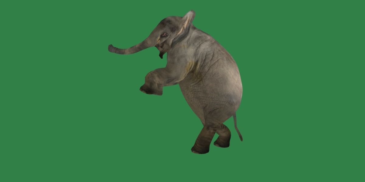 Baby Elephant Calf Low-poly 3D model_33