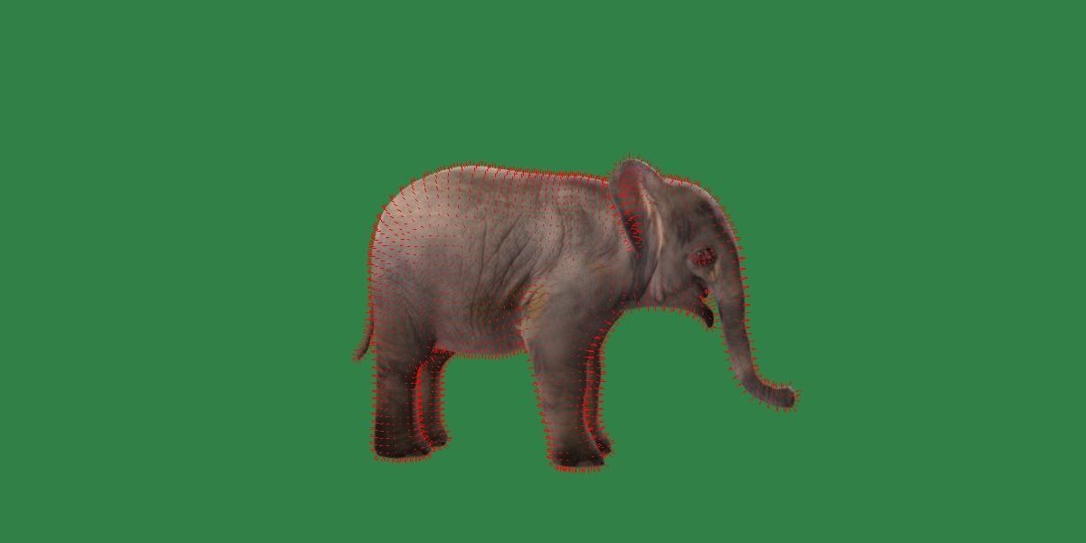 Baby Elephant Calf Low-poly 3D model_22