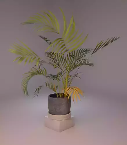 Home palm