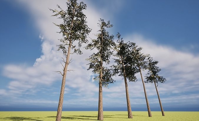Trees - Mixed Vegetation Low-poly 3D model