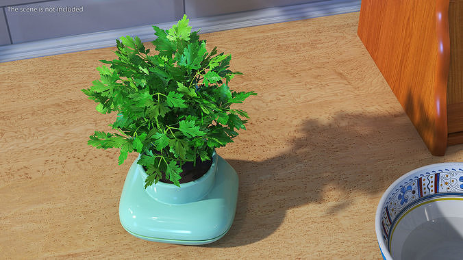 Stoneware Single Herb Pot Green with Parsley 3D model 4