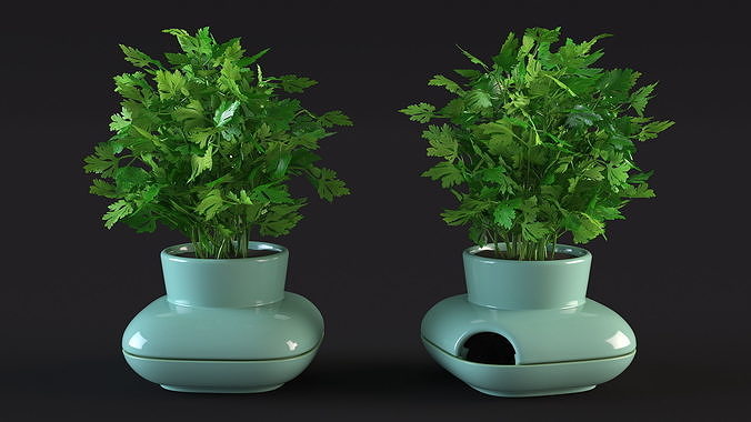 Stoneware Single Herb Pot Green with Parsley 3D model 6