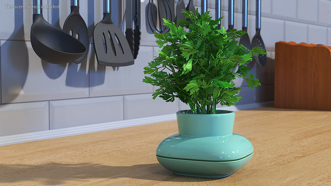 Stoneware Single Herb Pot Green with Parsley 3D model 5