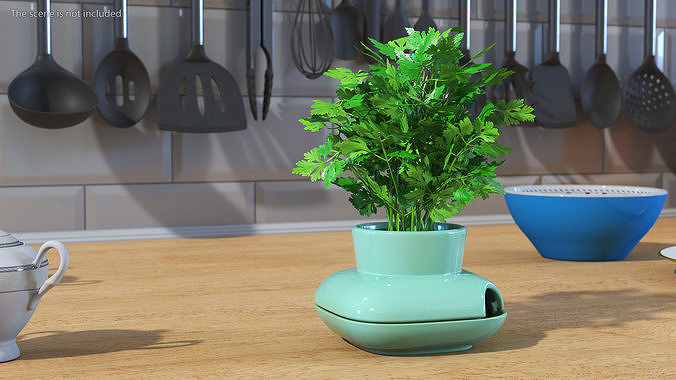 Stoneware Single Herb Pot Green with Parsley 3D model 2