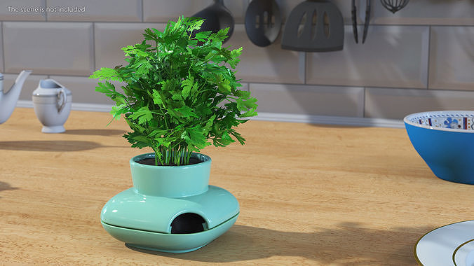 Stoneware Single Herb Pot Green with Parsley 3D model 3