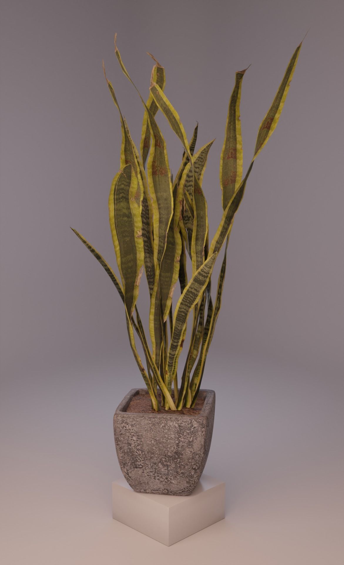 Green set Low-poly 3D model_4