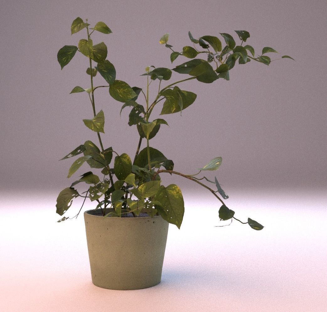 Green set Low-poly 3D model_6