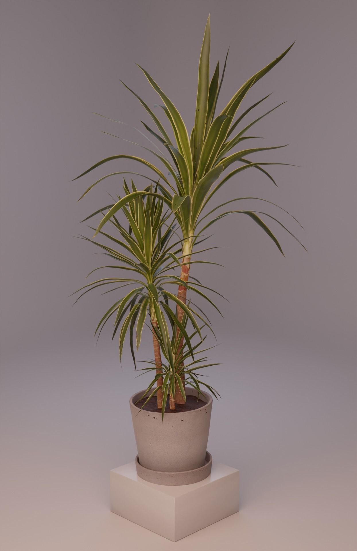 Green set Low-poly 3D model_1