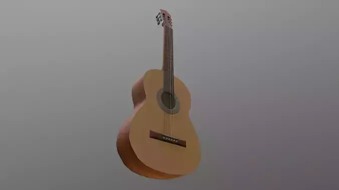 Acoustic Guitar