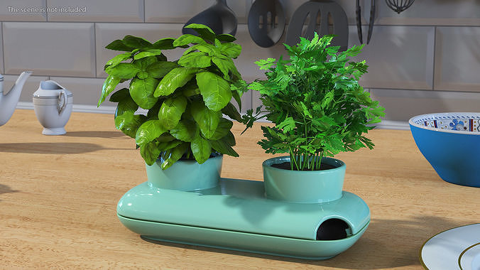 Herbs in Double Pot Sagaform Green 3D model 3
