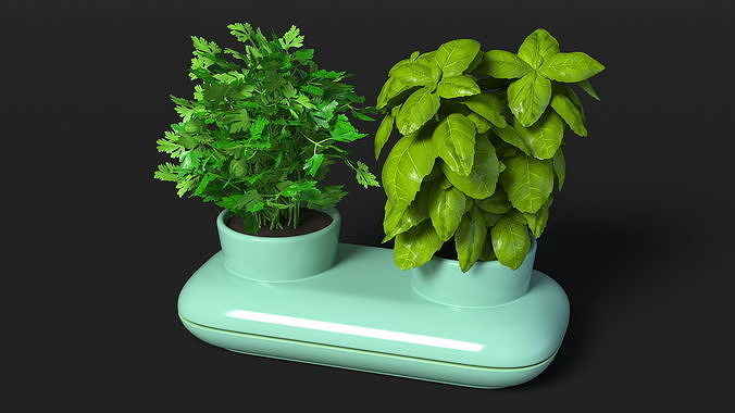 Herbs in Double Pot Sagaform Green 3D model 7