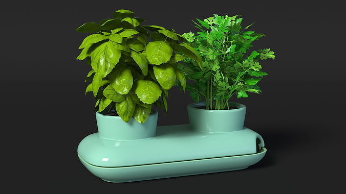 Herbs in Double Pot Sagaform Green 3D model 6