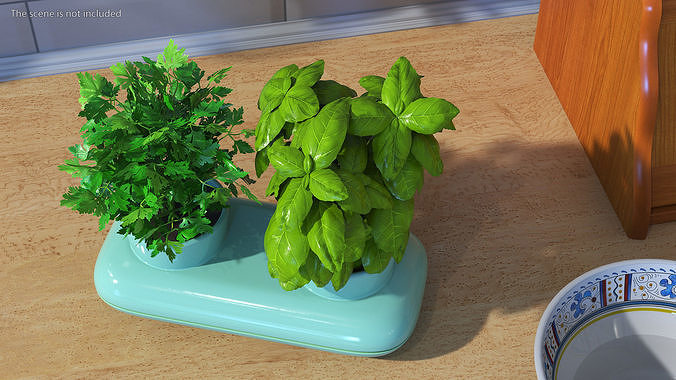 Herbs in Double Pot Sagaform Green 3D model 4