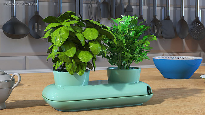 Herbs in Double Pot Sagaform Green 3D model 2
