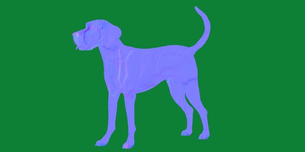 English Foxhound Dog 3D model_7