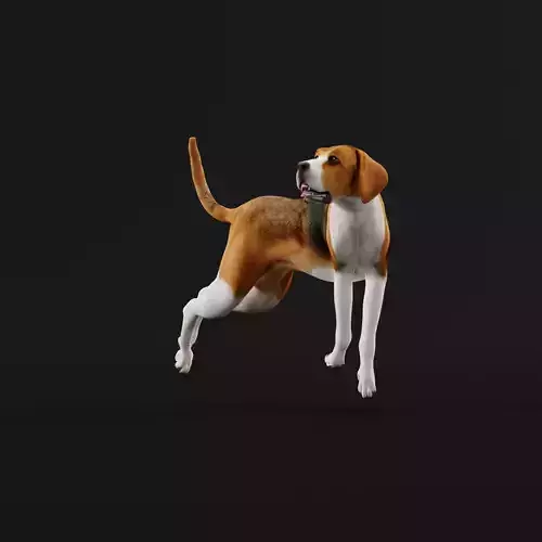 English Foxhound Dog 3D model