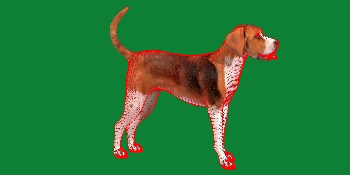 English Foxhound Dog 3D model_13