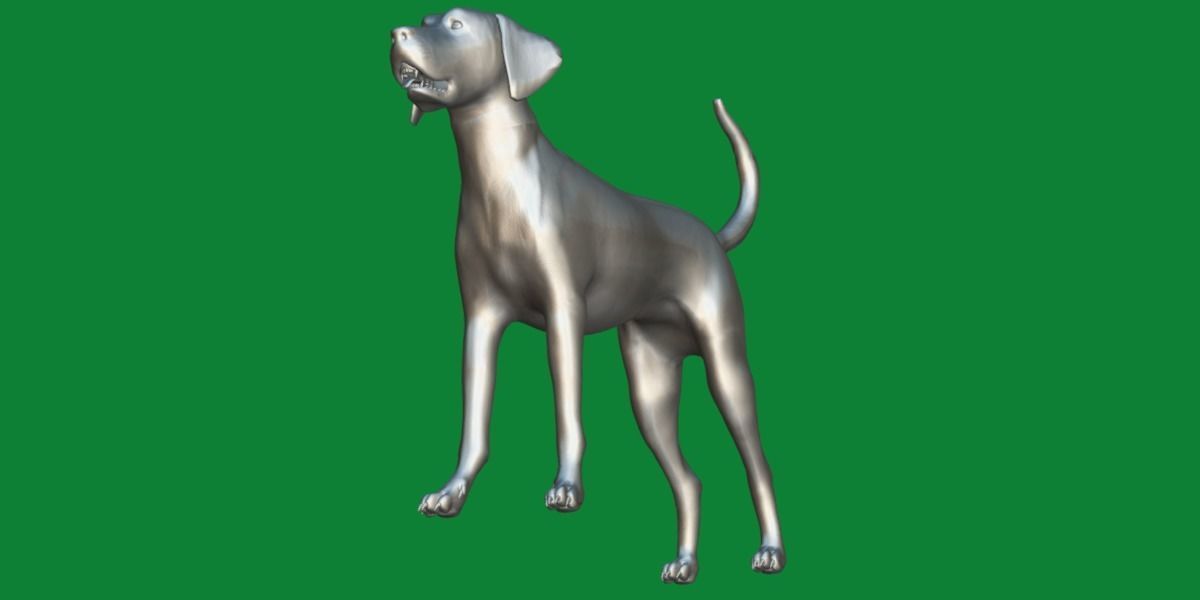 English Foxhound Dog 3D model_11