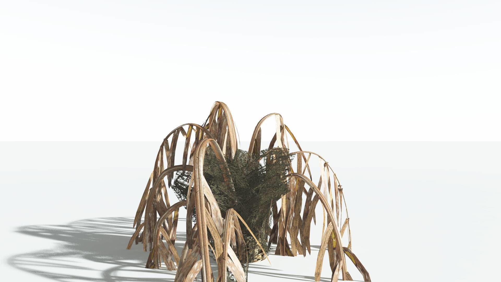 EVERYPlant Seashore Palm 4 --12 Models-- 3D model_13