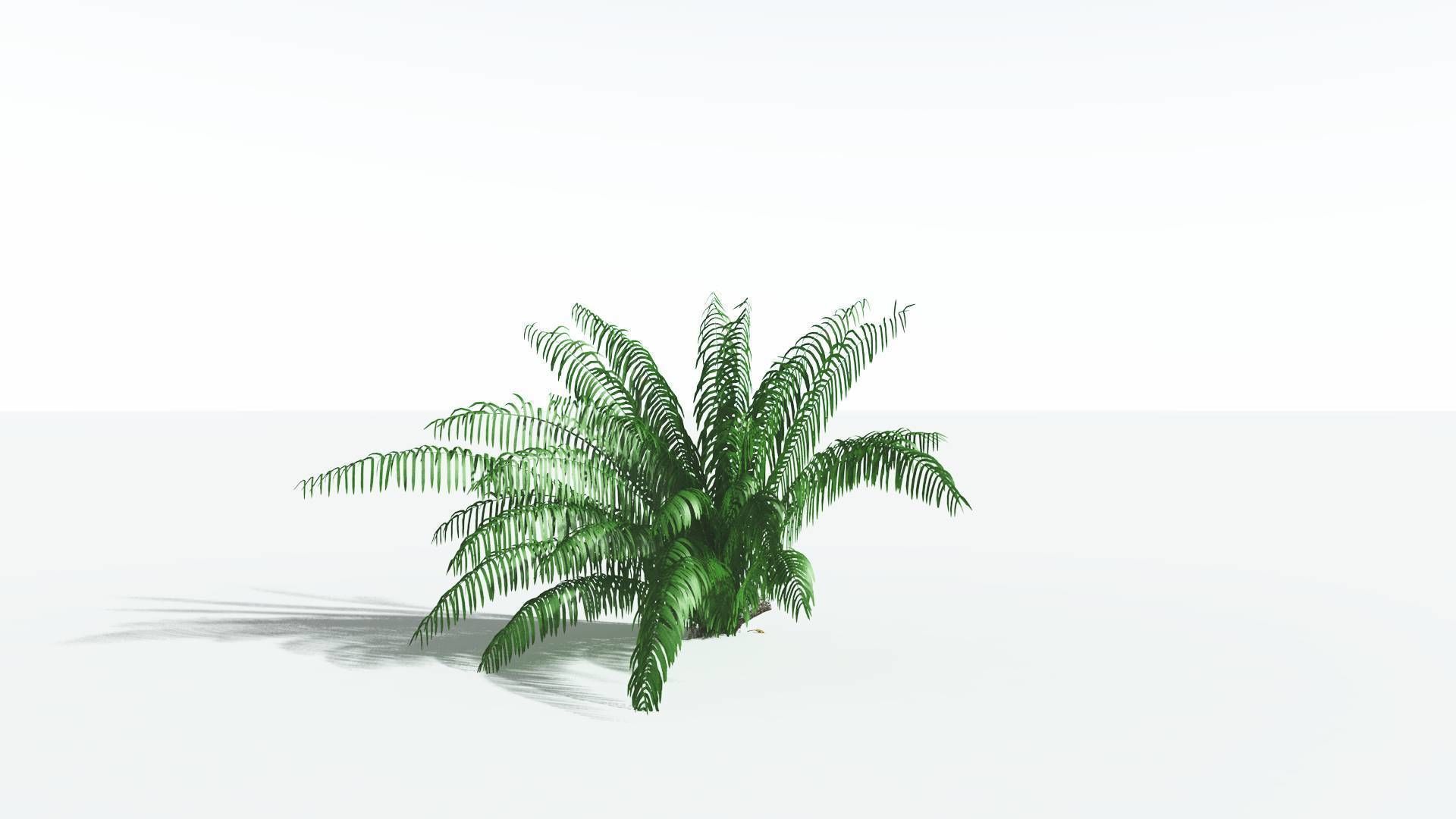EVERYPlant Seashore Palm 4 --12 Models-- 3D model_16