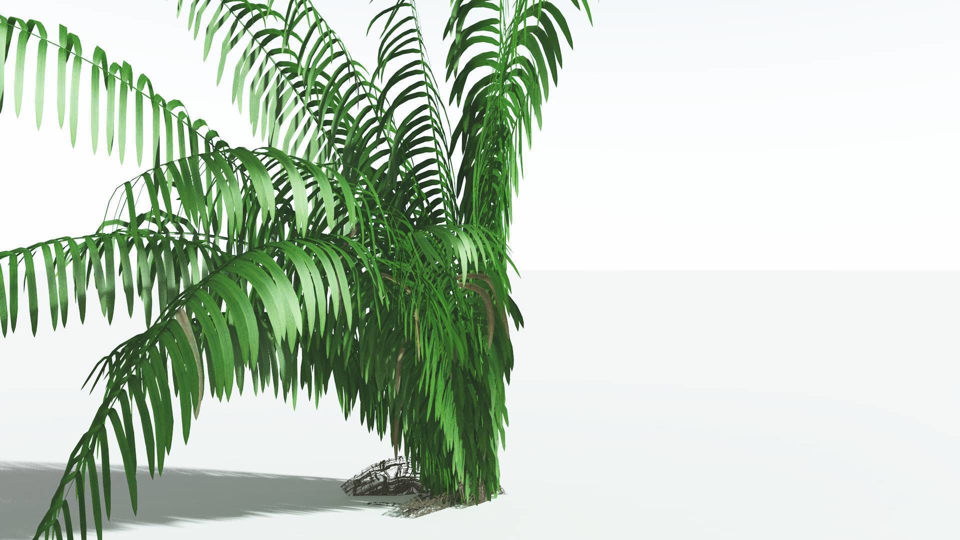 EVERYPlant Seashore Palm 4 --12 Models-- 3D model_19