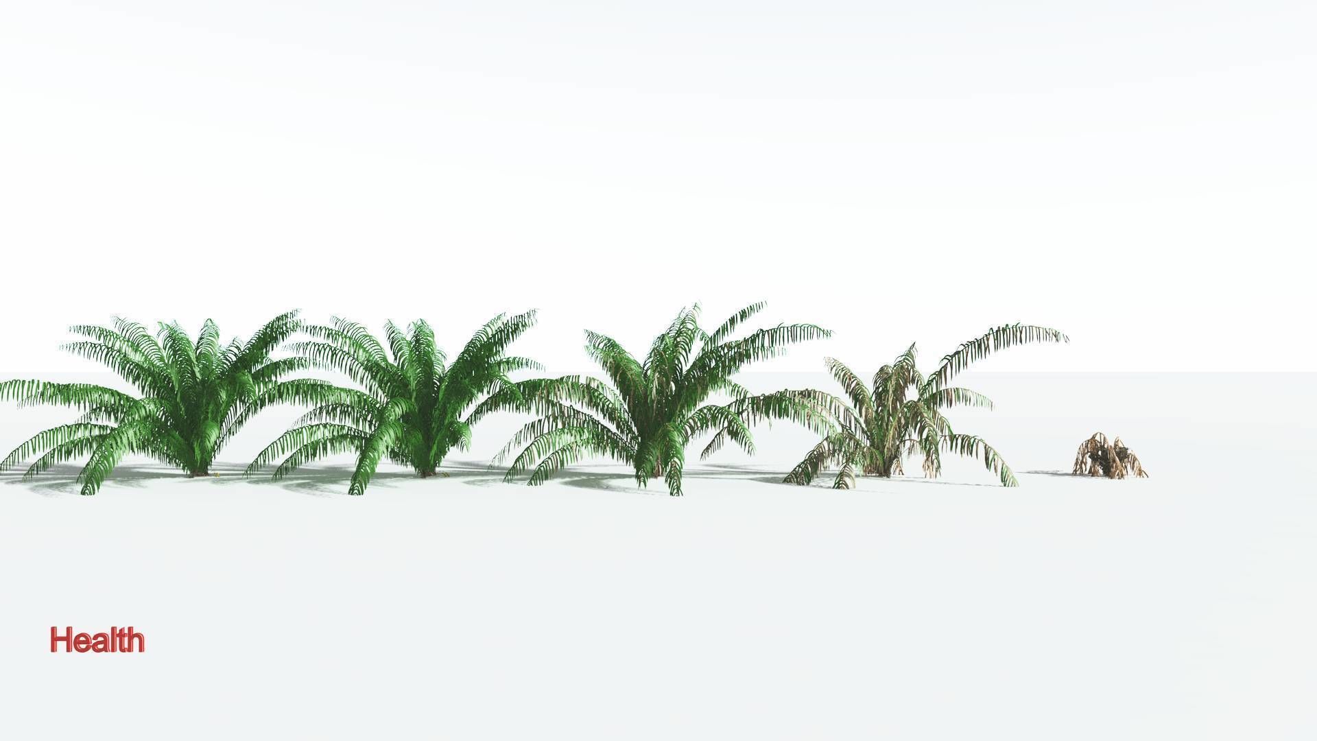 EVERYPlant Seashore Palm 4 --12 Models-- 3D model_1