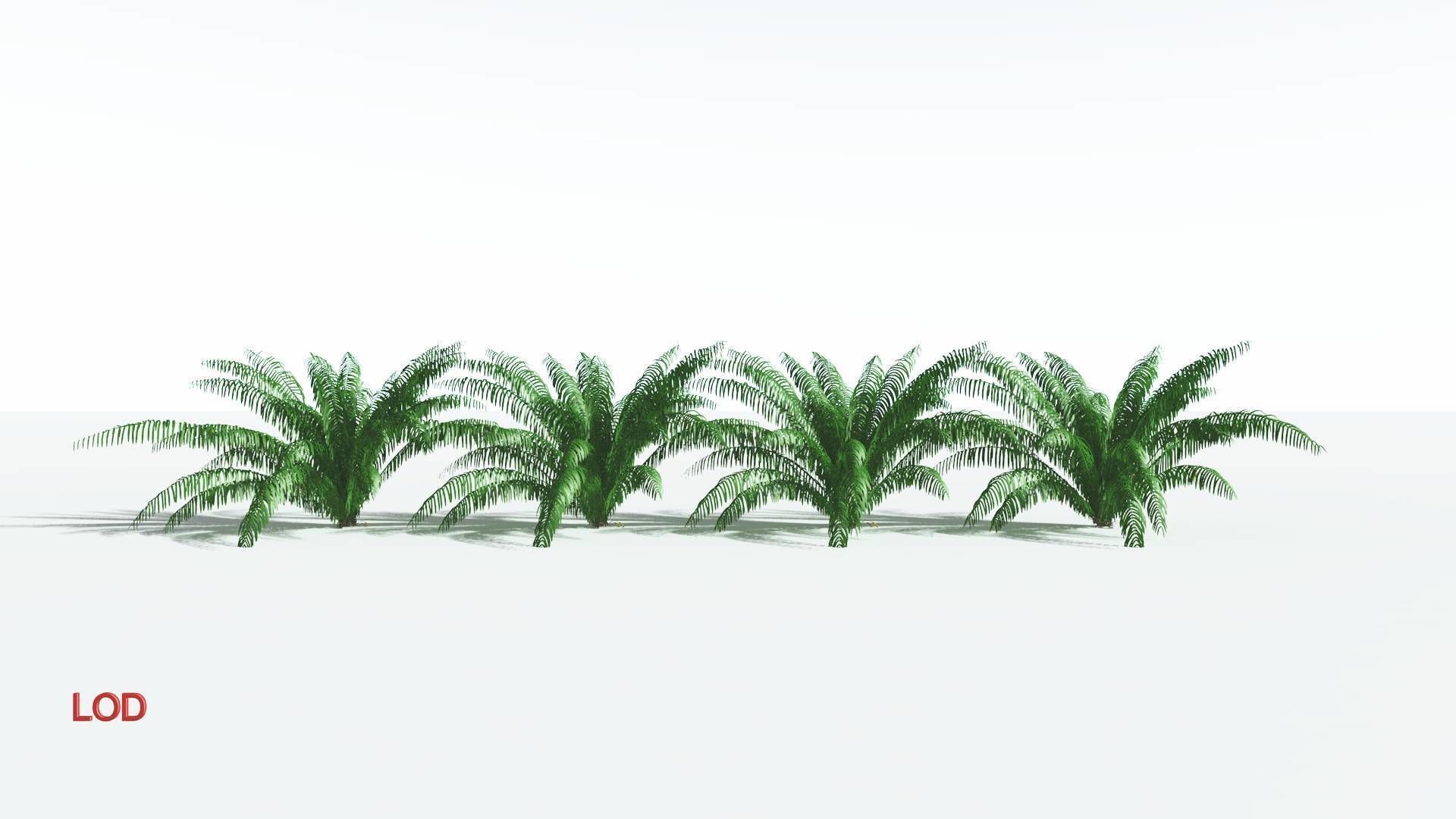 EVERYPlant Seashore Palm 4 --12 Models-- 3D model_3