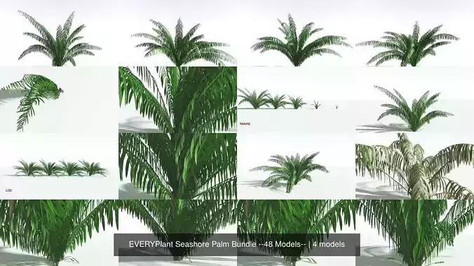EVERYPlant Seashore Palm Bundle --48 Models-- 3D Model Collection