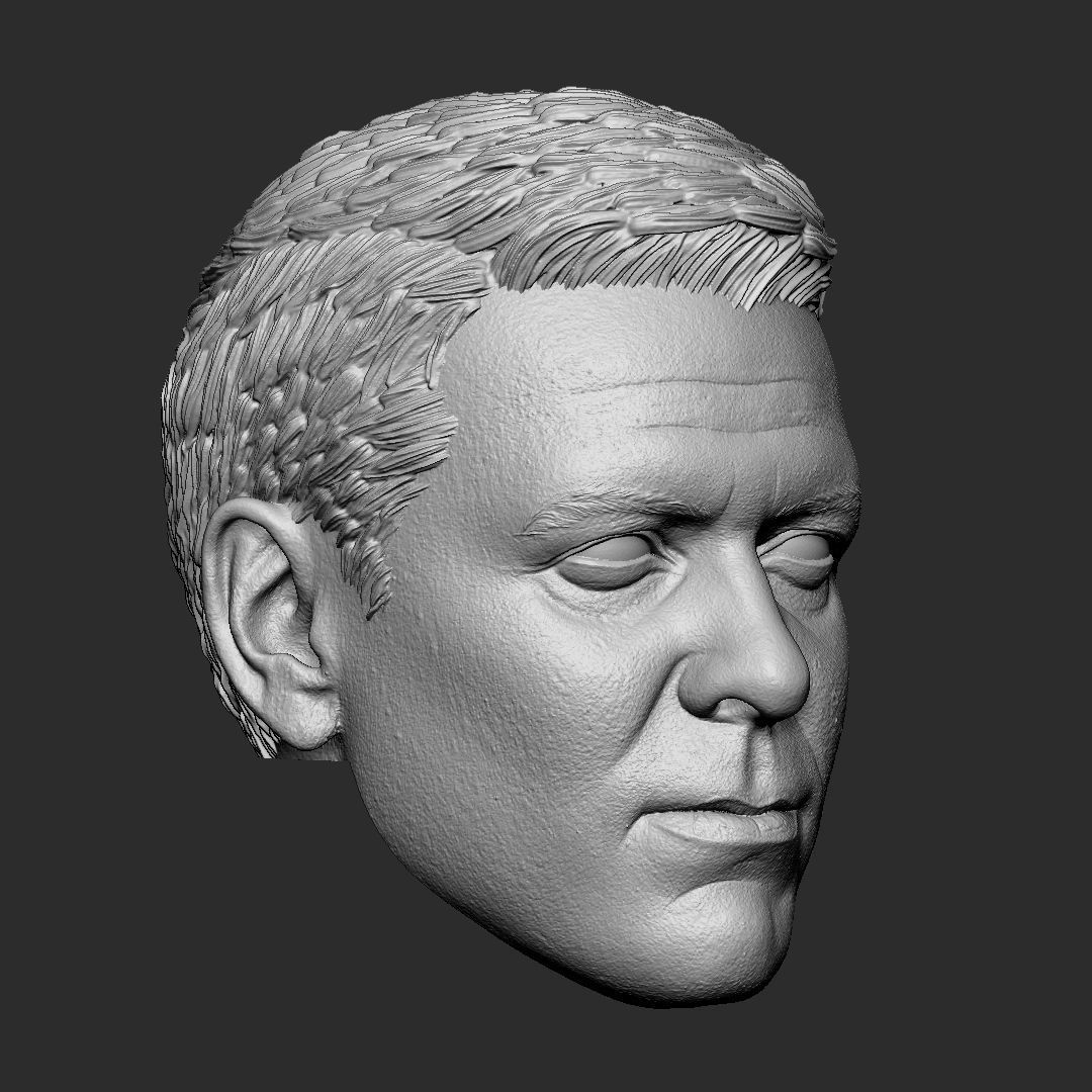 Clooney - Bruce Wayne - Batman head 3D print model_1