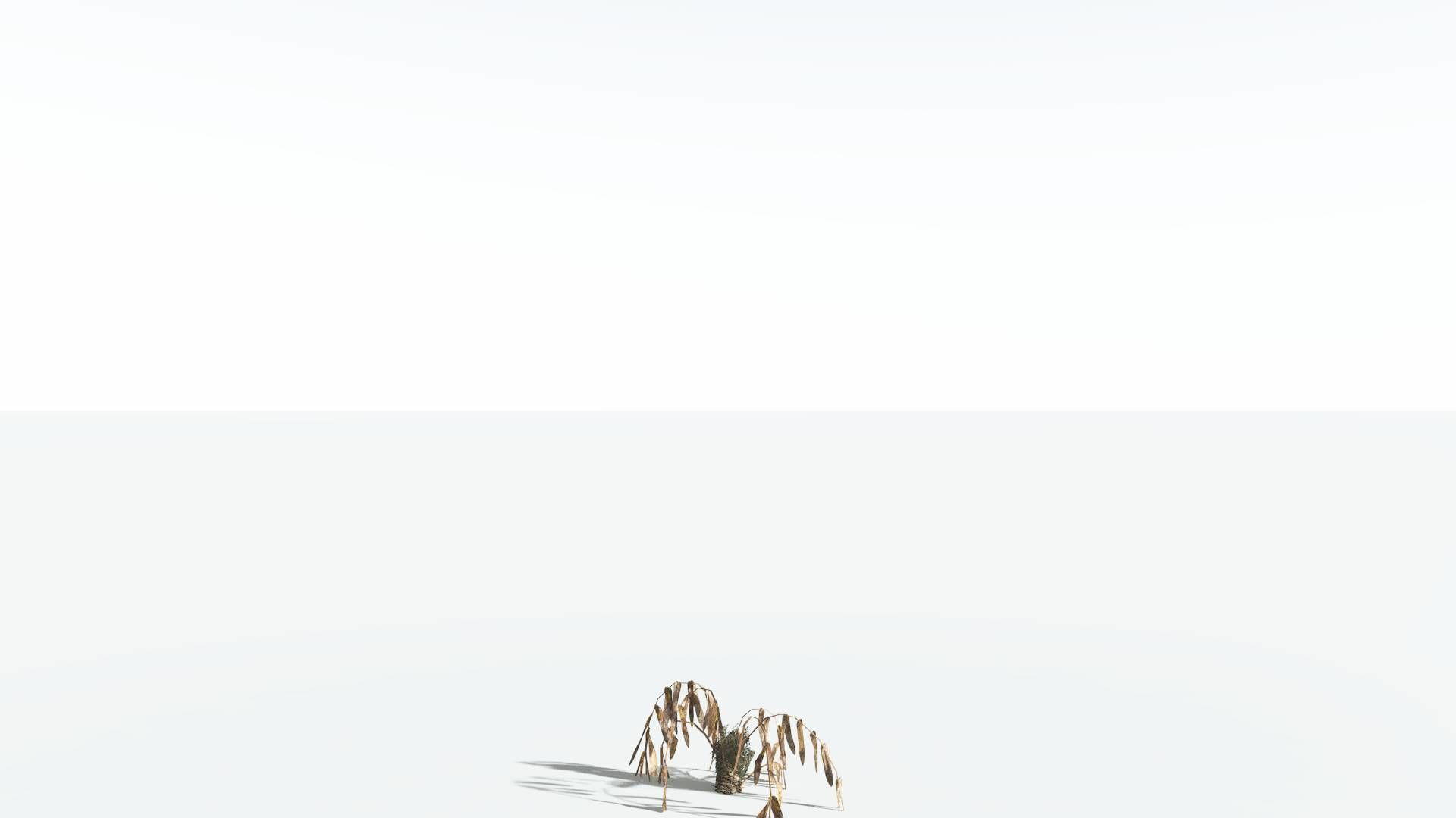 EVERYPlant Seashore Palm LowPoly 1 --12 Models-- Low-poly 3D model_12