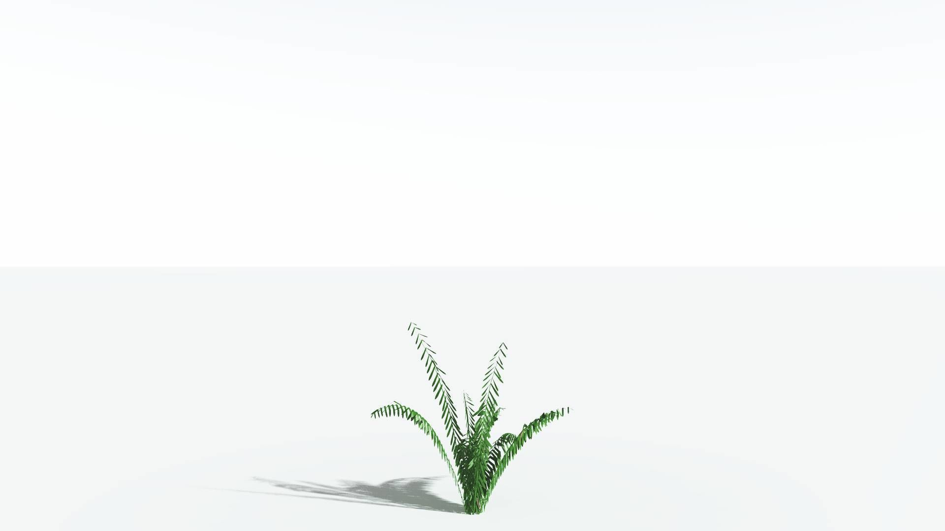 EVERYPlant Seashore Palm LowPoly 1 --12 Models-- Low-poly 3D model_18