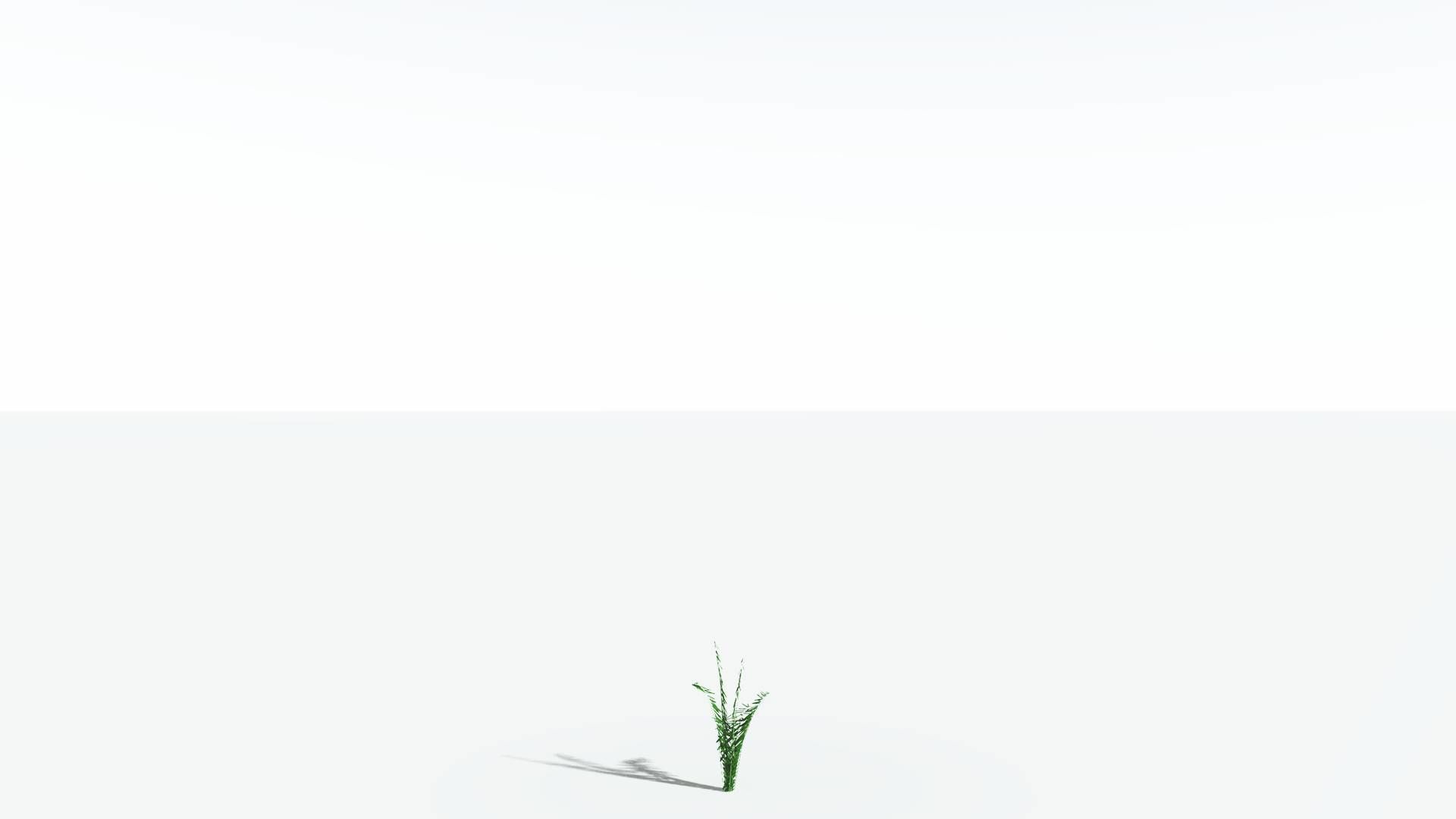 EVERYPlant Seashore Palm LowPoly 1 --12 Models-- Low-poly 3D model_20